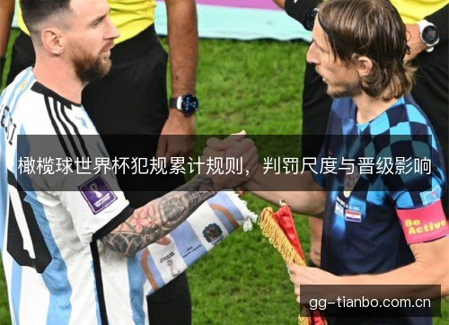 橄榄球世界杯犯规累计规则，判罚尺度与晋级影响